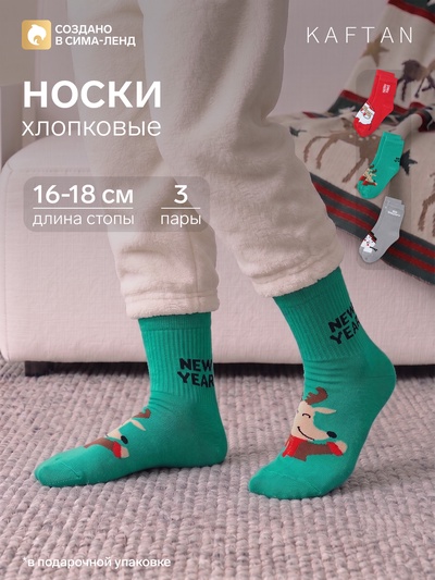 Носки детские новогодние KAFTAN «Дед Мороз» 3 пары, размер 16-18