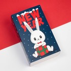 Новогодний набор детских носков KAFTAN "Зайчик" 3 пары, размер 14-16 7985245