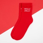 Носки новогодние женские KAFTAN "Holly" р. 36-39 (23-25 см) - Фото 2