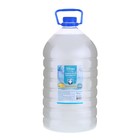 Жидкое мыло-перламутр Romax «Антибактериальное», 5 л - фото 300843256