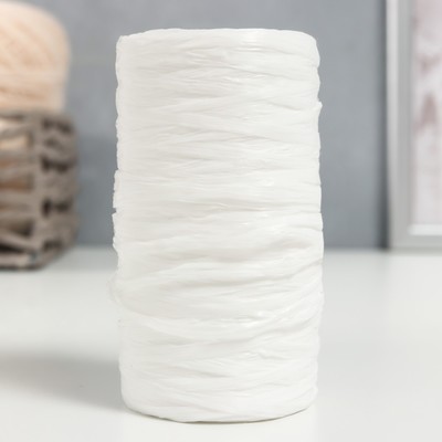 Пряжа "Для вязания мочалок" 100% полипропилен 300м/75±10 гр в форме цилиндра (белый матов.)
