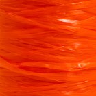Пряжа "Для вязания мочалок" 100% полипропилен 300м/75±10 гр в форме цилиндра (лиса) - Фото 3