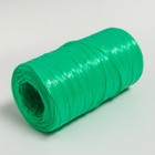 Пряжа "Для вязания мочалок" 100% полипропилен 300м/75±10 гр в форме цилиндра (трава) - Фото 3