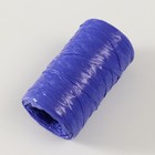 Пряжа "Для вязания мочалок" 100% полипропилен 300м/75±10 гр в форме цилиндра (чернила) - Фото 2