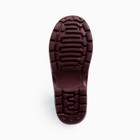 САБО женские ЭВА, цвет бордовый, размер 36 - фото 41999323