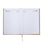 Ежедневник датированный 2024 года А5 168 листов "Вивелла", светло - оранжевый - фото 23076526