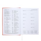 Ежедневник датированный 2024 года А5 168 листов "Вивелла", Оранжевый - фото 24549731