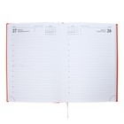 Ежедневник датированный 2024 года А5 168 листов "Вивелла", Оранжевый - фото 24549734