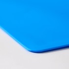 Доска разделочная «Эко», 17×24×0,2 см, прямоугольная, цвет голубой - Фото 3