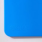 Доска разделочная «Эко», 17×24×0,2 см, прямоугольная, цвет голубой - Фото 4