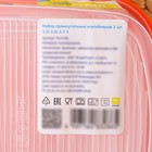 Набор пищевых контейнеров «BioFresh», 3 шт: 1 л, 1,6 л, 2,3 л, цвет микс - фото 4358477