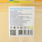Набор пищевых контейнеров SparkPlast BioFresh, 3 шт.: 500 мл, 1 л, 1.6 л, прозрачный, крышки МИКС - Фото 10