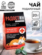 Чай чёрный в домике «Радостин новогодний», вкус: яблочный штрудель 20 г - фото 118624435