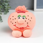 Растущий подарок травка Вырастайка "Девочка-Сердце" МИКС - фото 24151929