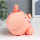 Растущий подарок травка Вырастайка "Девочка-Сердце" МИКС - фото 24151930