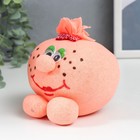 Растущий подарок травка Вырастайка "Девочка-Сердце" МИКС - фото 24151932