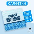 Салфетки бумажные однослойные Mini Boss, 24 × 24 см, 20 шт. - Фото 1