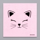 Салфетки бумажные однослойные «Кошечка», 24 × 24 см, в наборе 20 шт. - фото 8789981