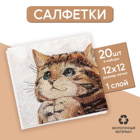 Салфетки бумажные однослойные «Котёнок», 24×24 см, набор 20 штук