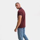 Футболка мужская поло, цвет бордовый, размер 52 (2XL) 9163663