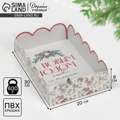 Коробка новогодняя подарочная с пластиковой крышкой «С Новым годом», 20×30×8 см