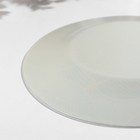 Тарелка «Ливс», d=19.5 см, стекло, голубая - фото 43986255 Тарелка «Ливс», d=19.5 см, стекло, голубая - фото 43986255