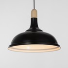 Люстра подвес "Дардо" 1х40Вт Е27 черный/коричневый 38,5х38,5х70см - фото 21709576