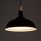 Люстра подвес "Дардо" 1х40Вт Е27 черный/коричневый 38,5х38,5х70см - фото 21709577