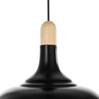 Люстра подвес "Дардо" 1х40Вт Е27 черный/коричневый 38,5х38,5х70см - фото 21709579