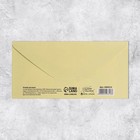 Набор конвертов для денег «Универсальный», 20 шт, 16.5 × 8 см 9083539