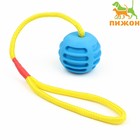Игрушка "Шар усиленный на веревке", 43 см, шар 6 см, голубой - фото 9895452