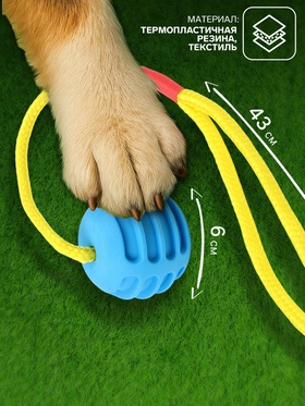 Игрушка «Шар усиленный на веревке», 43 см, шар 6 см, голубой