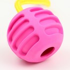 Игрушка "Шар усиленный на веревке", 43 см, шар 6 см, розовый - Фото 2