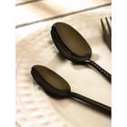 Столовые приборы из нержавеющей стали Доляна «Античность», 4 предмета, цвет чёрный - Фото 2