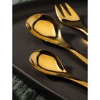 Набор столовых приборов из нержавеющей стали Magistro Aqua, 4 предмета, цвет золотой - Фото 2