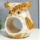 Сувенир полистоун подставка "Филин" белый с золотом 14х17х20 см - фото 21711058