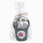 Набор новогодний подарочный Доляна «Гранаты» : полотенце 30×60, лопатка, кисть, губка - Фото 10