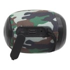 Портативная колонка Borofone R6, 10 Вт, BT5.0, AUX, FM, microSD, USB, 1200 мАч, цвет хаки - фото 51322493 Портативная колонка Borofone R6, 10 Вт, BT5.0, AUX, FM, microSD, USB, 1200 мАч, цвет хаки - фото 51322493