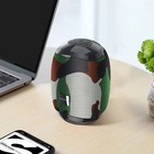 Портативная колонка Borofone R6, 10 Вт, BT5.0, AUX, FM, microSD, USB, 1200 мАч, цвет хаки - фото 51322494 Портативная колонка Borofone R6, 10 Вт, BT5.0, AUX, FM, microSD, USB, 1200 мАч, цвет хаки - фото 51322494