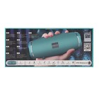 Портативная колонка Borofone BR3 Rich, 10 Вт, BT5.0, microSD, USB, 1200 мАч, бирюзовый 9088636 - фото 14070033