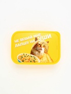 Ланч - бокс прямоугольный «Не вешай лапшу на уши», 1200 мл - Фото 5