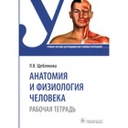 Анатомия и физиология человека. Щеблякова Л.В. - фото 295782007