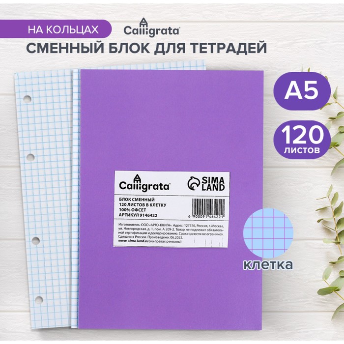 Сменный блок для тетрадей на кольцах А5, 120 листов, в клетку, Calligrata, блок офсет № 160 гр/м2, белизна 100%, - Фото 1