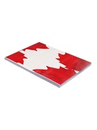 Сменный блок для тетрадей на кольцах А5, 120 листов, в клетку, Calligrata, блок офсет № 160 г/м², белизна 100%, - Фото 6