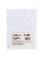 Сменный блок для тетрадей на кольцах А5, 120 листов, в клетку, Calligrata, блок офсет № 160 г/м², белизна 100%, - Фото 7