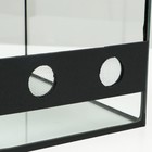 Улиточник со сквозной вентиляцией 12 л, 30×20×20 см - Фото 6