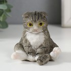 Сувенир полистоун "Котик сидит на попе" 7х7х7,5 см - фото 3362470