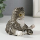Сувенир полистоун "Котик сидит на попе" 7х7х7,5 см - фото 8171727