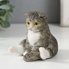 Сувенир полистоун "Котик сидит на попе" 7х7х7,5 см - фото 8171729
