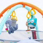 Развивающий коврик - манеж Крошка Я «Енот», 3 в 1, 68×68 см, 30 цветных шариков, 5 игрушек - Фото 13